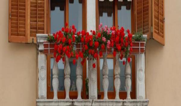 ola-travel-hotel-Villa Valmar