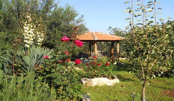 ola-travel-hotel-Gites de la Mer
