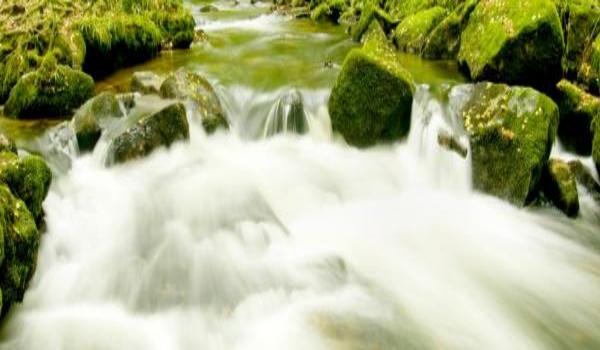 ola-travel-hotel-Lostwithiel Hotel