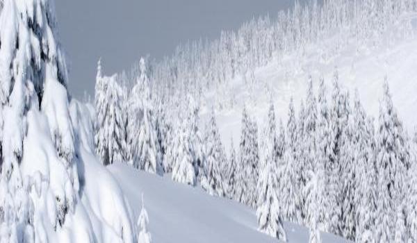 ola-travel-hotel-Hotel Kopaonik