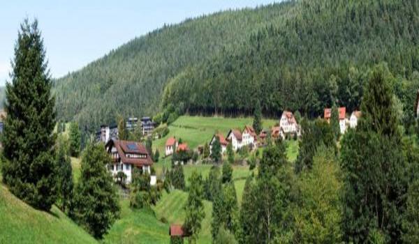 ola-travel-hotel-Schwarzwaldhotel Sonne