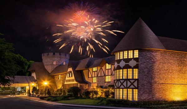 ola-travel-hotel-Disneyland Hotel