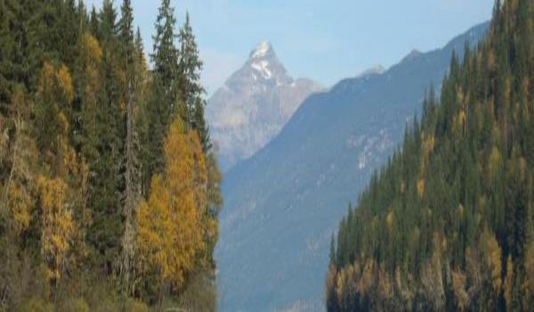 ola-travel-hotel-Clearwater Valley Resort