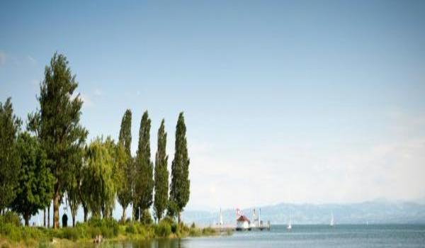 ola-travel-hotel-SeeHotel Friedrichshafen