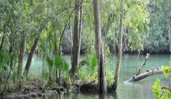 ola-travel-hotel-The Homosassa River Retreat