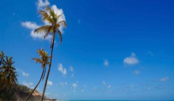 ola-travel-hotel-Intercity Salvador