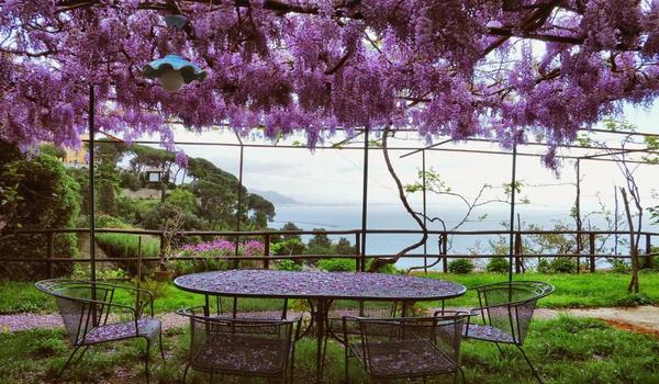 ola-travel-hotel-Villa Maria