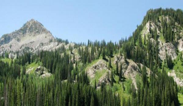 ola-travel-hotel-Holiday Inn Express & Suites Cottonwood