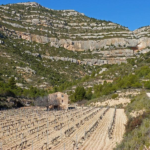 Top 5 Hotels in Arenal d’en Castell, Spain