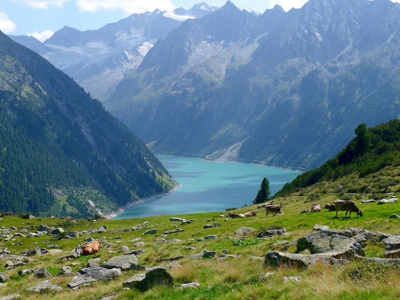 Top 5 Hotels in Ried im Zillertal, Austria