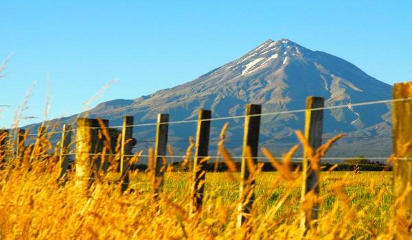 ola-travel-hotel-Millennium Hotel New Plymouth, Waterfront