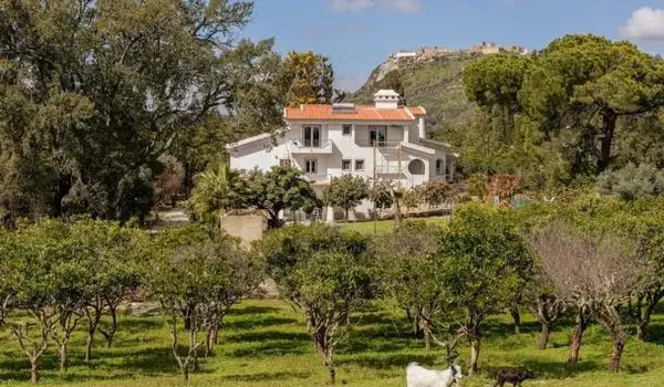 ola-travel-hotel-Hotel do Sado Business & Nature