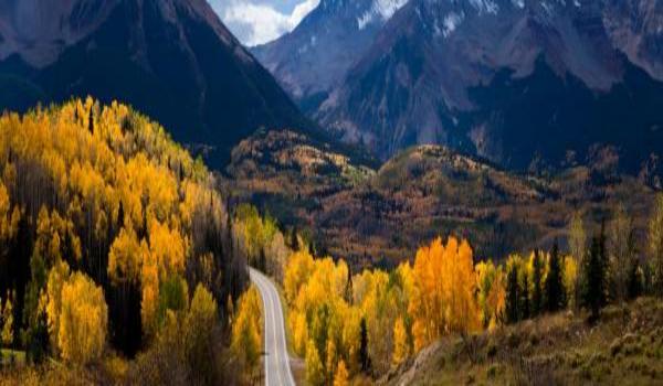ola-travel-hotel-Hotel Telluride