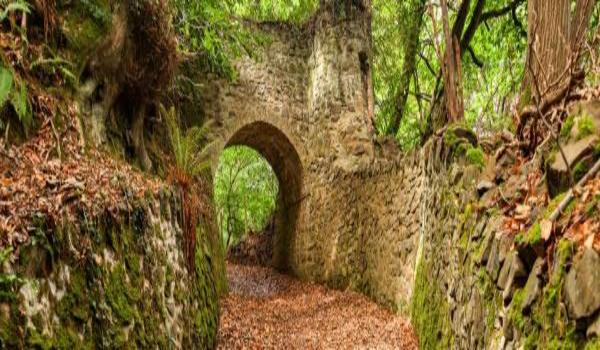 ola-travel-hotel-The Culbone