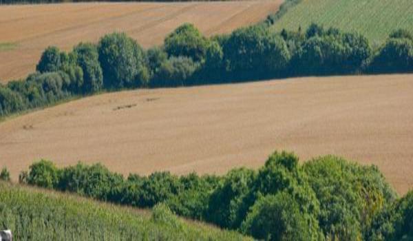 ola-travel-hotel-Northdown Farm