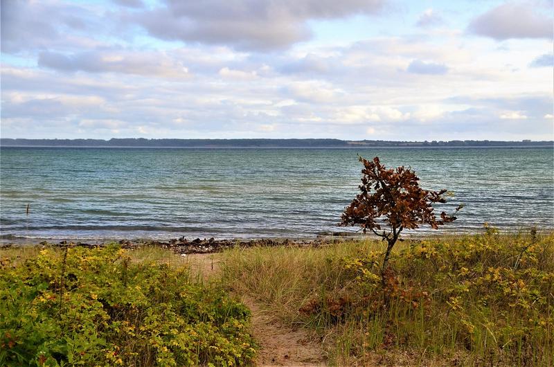 Top 5 Hotels in Eckernförde, Germany