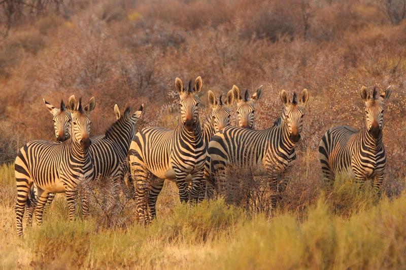 Top 5 Hotels in Nelspruit, South Africa