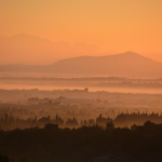 Top 5 Hotels in Sa Pobla, Spain