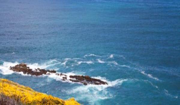 ola-travel-hotel-Hotel Marisol