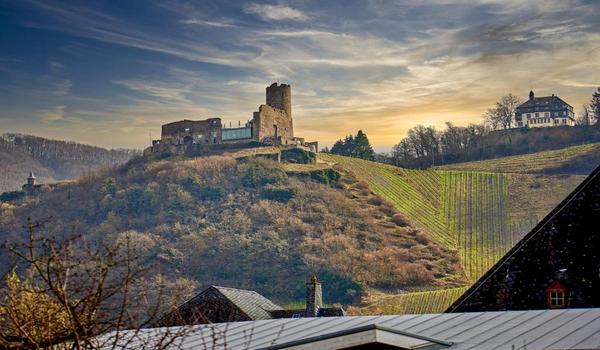 ola-travel-hotel-Burgblick