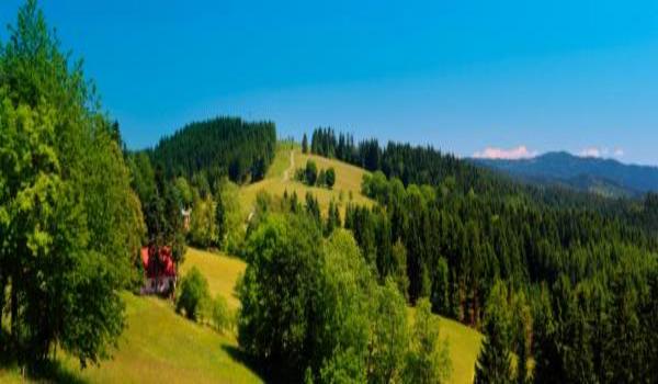 ola-travel-hotel-Penzion Sněžka