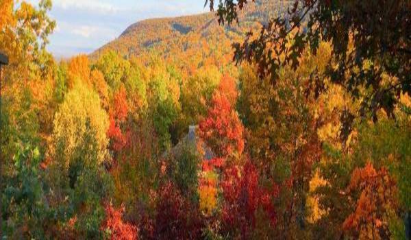 ola-travel-hotel-The Mountain Inn