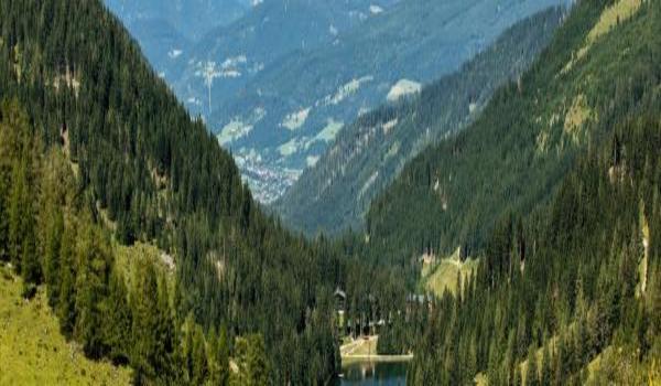 ola-travel-hotel-Hotel Enzian