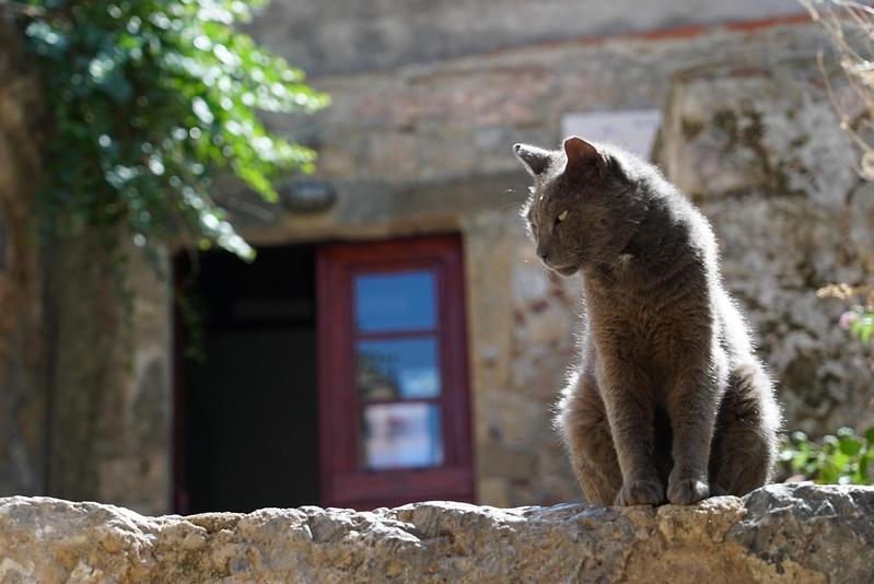 Top 5 Hotels in Monemvasia, Greece