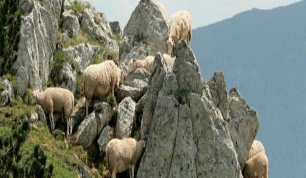 ola-travel-hotel-Auberge des Montagnes