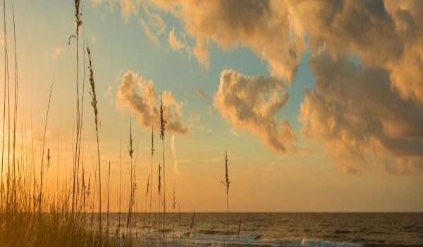 ola-travel-hotel-Fairfield Inn & Suites by Marriott Pensacola Navarre