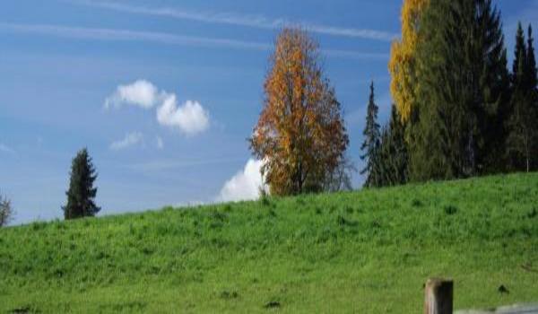 ola-travel-hotel-HotelNiedersachsen