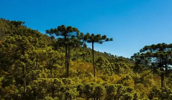 ola-travel-hotel-Hotel Deville Business Curitiba