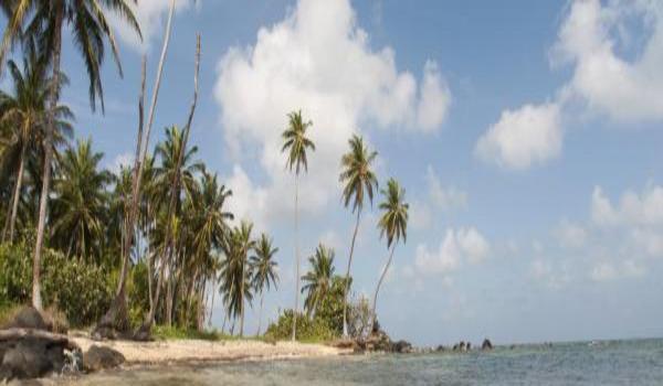 ola-travel-hotel-Hotel Il Tritone