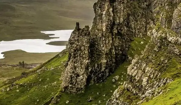 ola-travel-hotel-The Tongadale Hotel