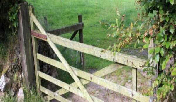 ola-travel-hotel-The Imperial