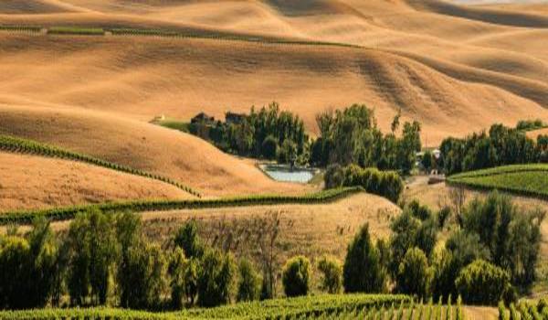 ola-travel-hotel-Red Lion Inn & Suites Walla Walla