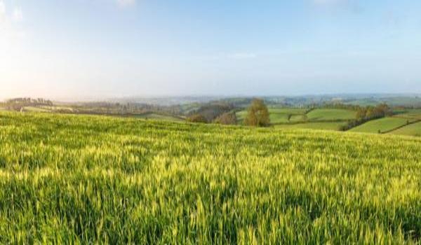 ola-travel-hotel-The Crooked Inn