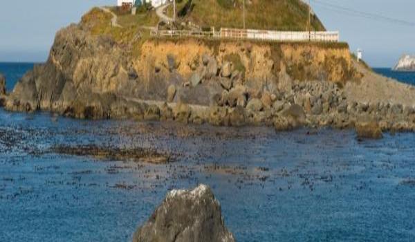 ola-travel-hotel-Crescent Beach Motel