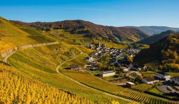 ola-travel-hotel-Steigenberger Hotel Der Sonnenhof