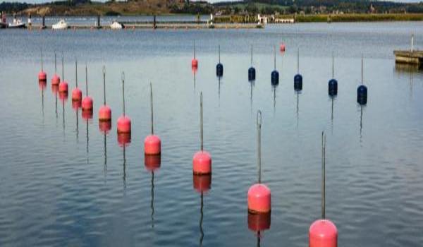 ola-travel-hotel-Strandhaus Thiessow