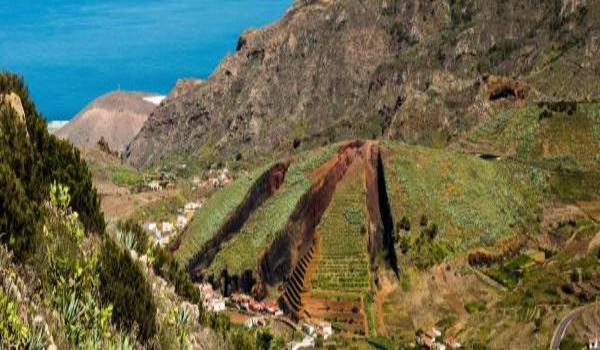 ola-travel-hotel-Tropical Park