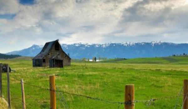 ola-travel-hotel-Donnelly Lake Resort