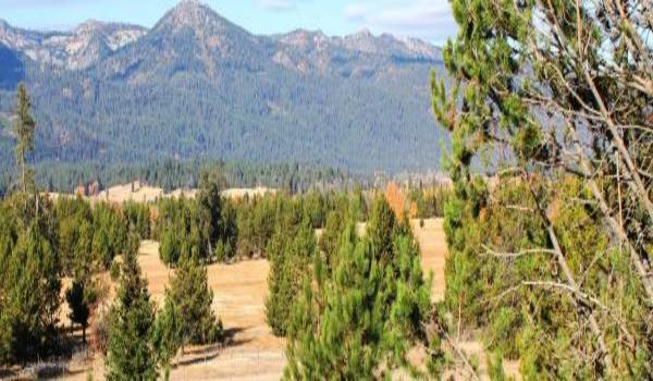 ola-travel-hotel-Valley View Motel