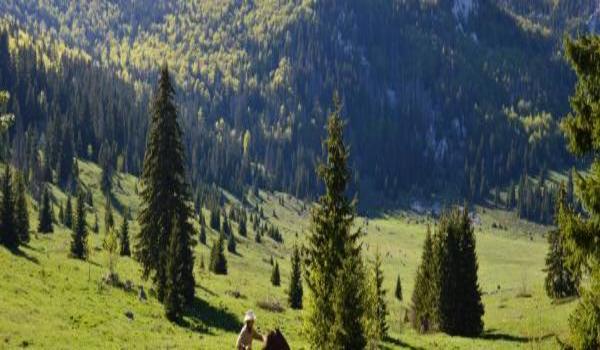 ola-travel-hotel-Zadarska Gora