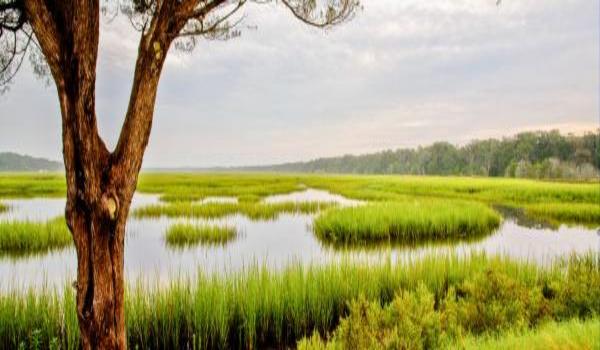 ola-travel-hotel-Fairfield Inn & Suites by Marriott Amelia Island