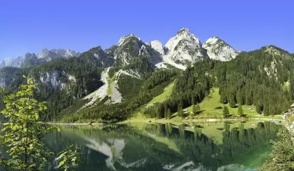 ola-travel-hotel-Aparthotel Auerhahn