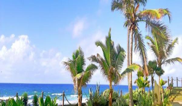 ola-travel-hotel-Bela Vista Praia Hotel