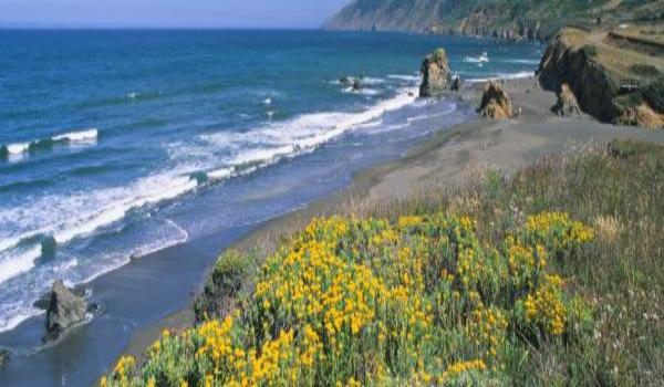 ola-travel-hotel-Comfort Inn Arcata-Humboldt Area