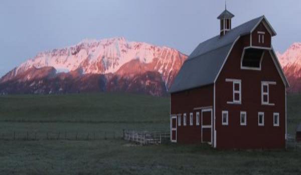 ola-travel-hotel-The Pine Cone Inn