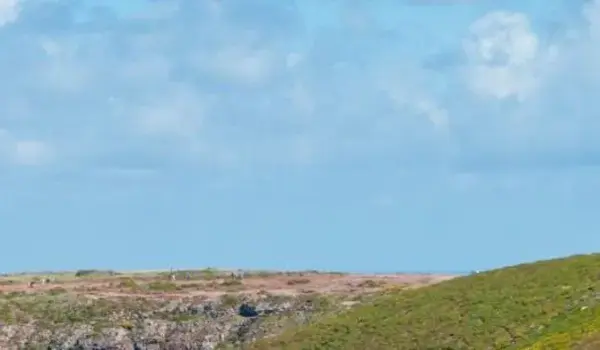 ola-travel-hotel-Hotel The Bristol